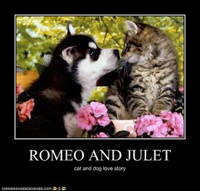 ROMEO AND JULET