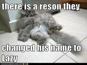 there is a reson they  changed his name to Lazy