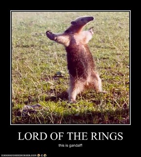 LORD OF THE RINGS