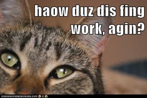 haow duz dis fing work, agin?