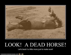 LOOK!  A DEAD HORSE!
