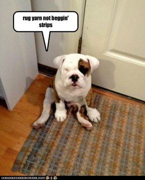 rug yarn not beggin' strips
