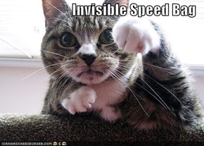 Invisible Speed Bag