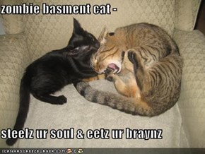 zombie basment cat -   steelz ur soul & eetz ur braynz