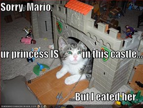 Sorry, Mario,