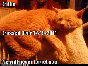 Krillin Crossed Over 12-19-2011 We will never forget you
