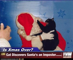 Is Xmas Over? - Cat Discovers Santa's an Imposter......