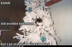kitteh teh ownlee ornament dat can maeks or braeks a tree