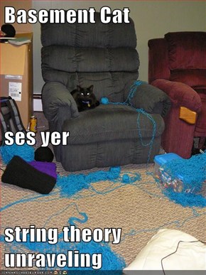 Basement Cat ses yer string theory unraveling