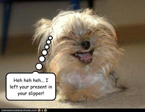 Heh heh heh... I left your present in your slipper!