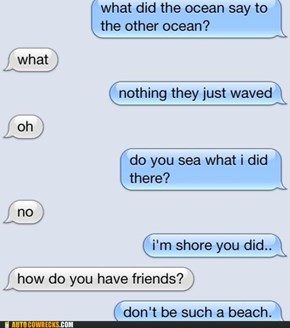 Autocowrecks: I Sea What You Did There