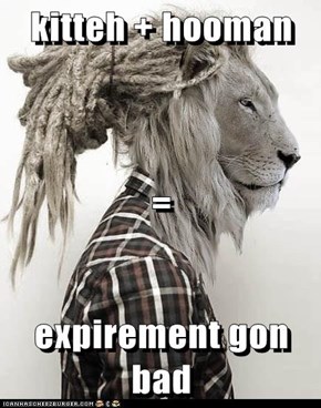 kitteh + hooman  = expirement gon bad
