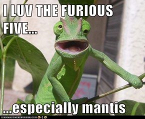 I LUV THE FURIOUS FIVE...  ...especially mantis