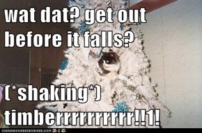 wat dat? get out before it falls?  (*shaking*) timberrrrrrrrrr!!1!