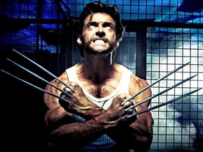 Wolverine Uploader Gets Prison Sentence of the Day