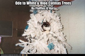 Ode to White & Bloo Catmas Trees