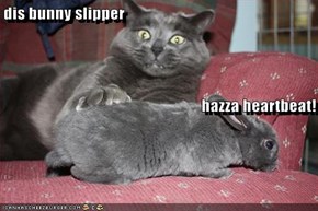 dis bunny slipper