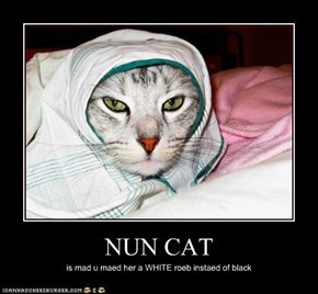 NUN CAT