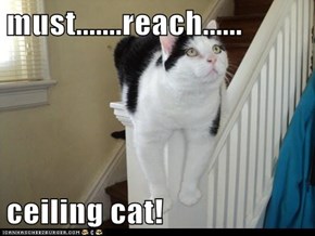 must.......reach......  ceiling cat!