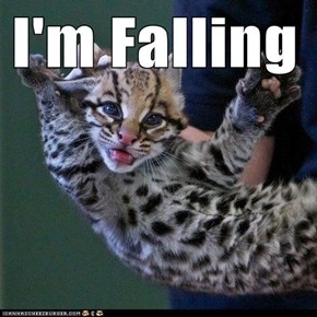 I'm Falling