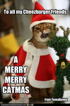 A Merry Catmas