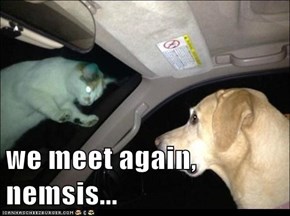 we meet again, nemsis...