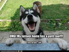 Forever yard....