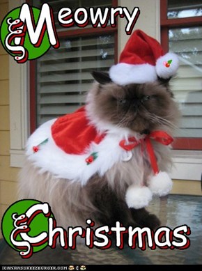 Meowry Christmas...