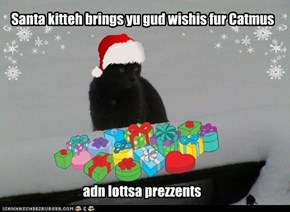 Santa kitteh brings yu gud wishis fur Catmus