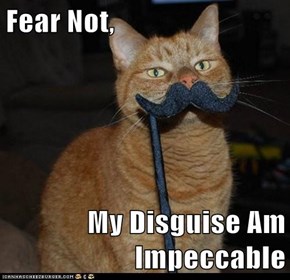 Fear Not,  My Disguise Am Impeccable