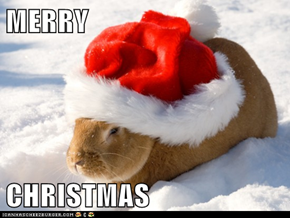 MERRY  CHRISTMAS