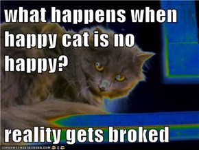 what happens when happy cat is no happy?  reality gets broked