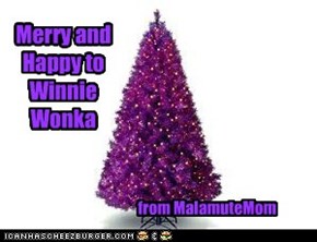 For Winnie Wonka