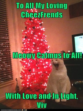 To All My Loving CheezFrends Meowy Catmus to All! With Love and In Light, Viv