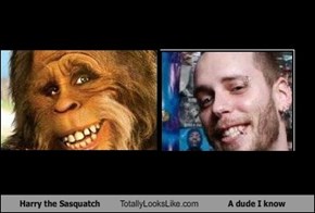 Harry the Sasquatch Totally Looks Like A dude I know