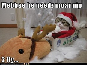 Mebbee he needz moar nip  2 fly...