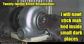 Twenty-twelbe Kitteh Resolushunz
