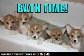 BATH TIME!