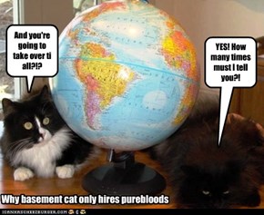Why basement cat only hires purebloods