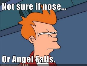 Not sure if nose...  Or Angel Falls.