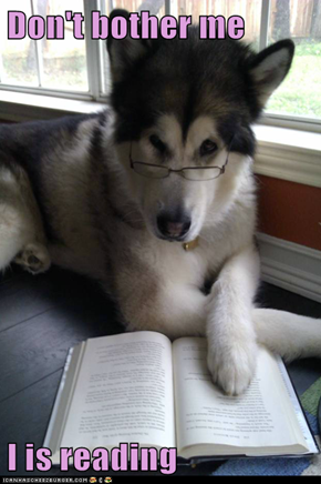 Don't bother me  I is reading