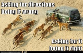 Now I Know The Difference Between Tigers and GPS