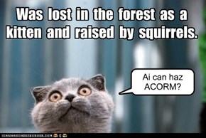 Was  lost  in  the  forest  as  a  kitten  and  raised  by  squirrels.