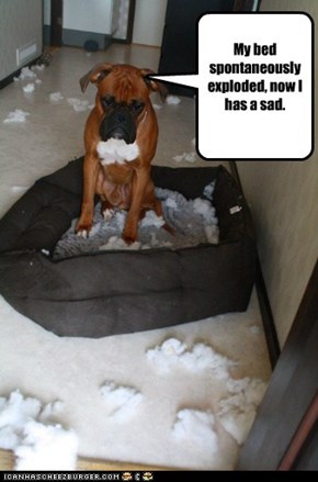 My bed spontaneously exploded, now I has a sad.