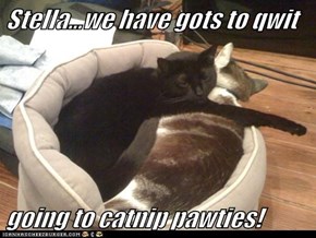 Stella...we have gots to qwit  going to catnip pawties!