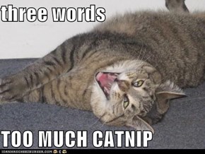 three words   TOO MUCH CATNIP