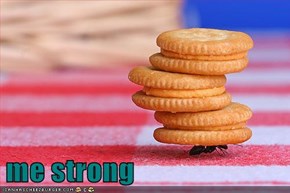 me strong