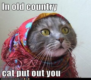 In old country  cat put out you