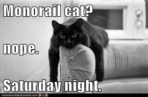 Monorail cat? nope. Saturday night.
