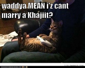 waddya MEAN i'z cant marry a Khajiit?